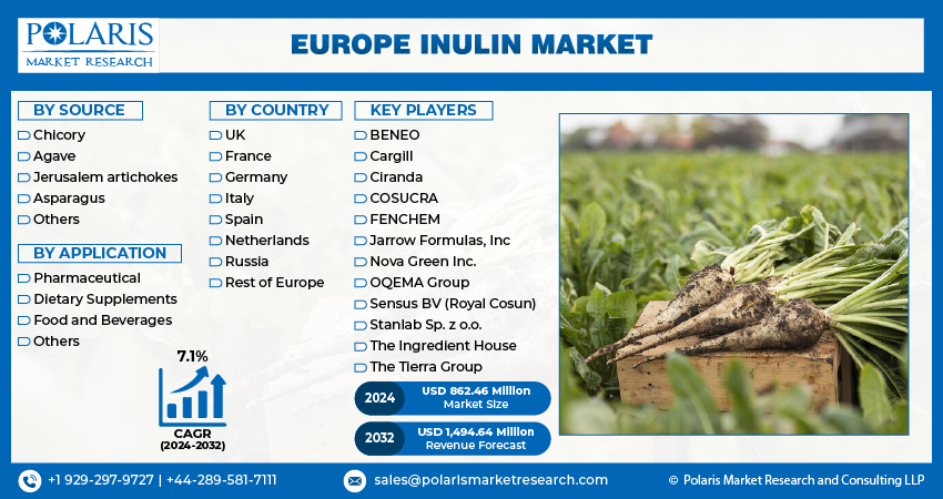 Europe Inulin Market Size